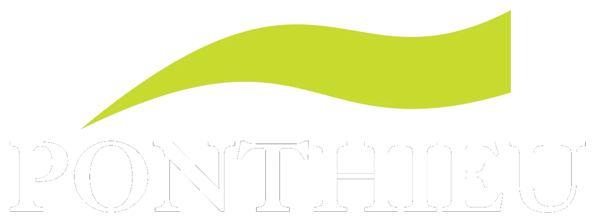 Ponthieu Développement Holding